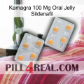 Kamagra 100 Mg Oral Jelly Sildenafil 25